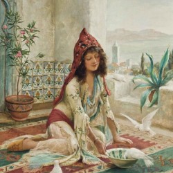 An Oriental woman feeding the pigeons